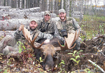 alberta moose hunting