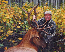 wild kakwa outfitters elk hunting alberta