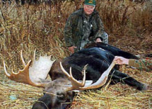 moose hunting alberta