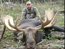 Moose hunting alberta canada