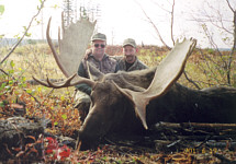 moose hunting alberta