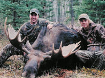 alberta moose hunts