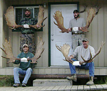 alberta moose hunting