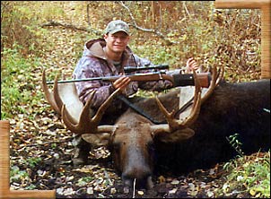 Trophy bull moose in Alberta