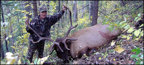 elk hunting alberta canada