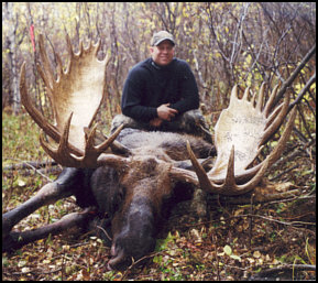 alberta moose hunts