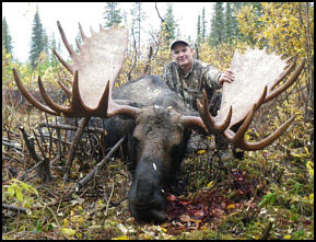 moose hunting alberta