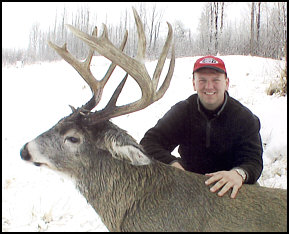 Alberta whitetail deer hunting