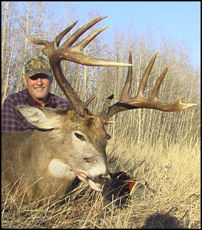 alberta canada whitetail deer hunting